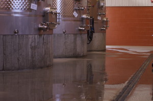 clean halter ranch winery