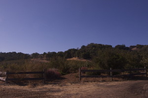 enviro plot halter ranch