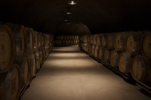 wine cellar